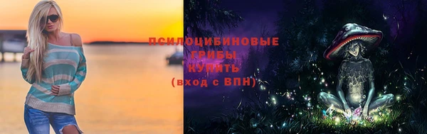 apvp Нягань
